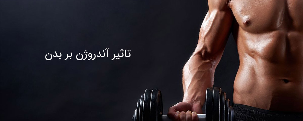 بررسی تاثیر آندروژن بر بدن