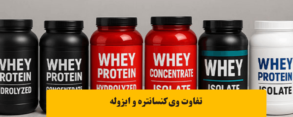 مقایسه پروتئین وی کنسانتره ایزوله و هیدرولیزه